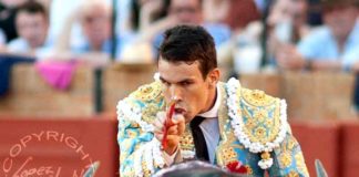 Manzanares no ha logrado colmar las expectativas para su encerrona con seis toros en la Maestranza. (FOTO: lopezmatito.com)