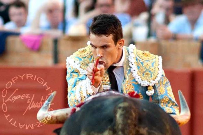 Manzanares no ha logrado colmar las expectativas para su encerrona con seis toros en la Maestranza. (FOTO: lopezmatito.com)