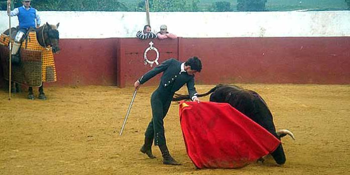 Rafael Serna, en la final del certamen en La Palmosilla.