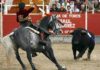 Diego Ventura, en un quiebro hoy en Talayuela (FOTO: González Arjona)