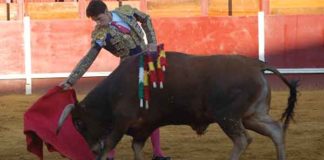 El novillero local Díaz CRuz debutará con picadores en su prueblo de Pilas el sábado 8 de junio. (FOTO: Cuevas)
