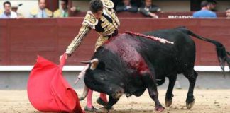 Daniel Luque, esta tarde en Madrid. (FOTO: las-ventas.com)