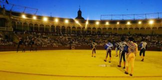 En tres meses de verano, la Maestranza sólo se abrira para el ciclo nocturno de cinco novilladas de promoción.