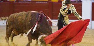 Daniel Luque, toreando esta tarde en Alicante. (FOTO: Antonio Vigueras/mundotoro.com)