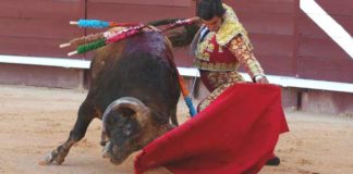 Muletazo por bajo de Morante hoy en Istres. (FOTO: Valentín/Terres Taurines)