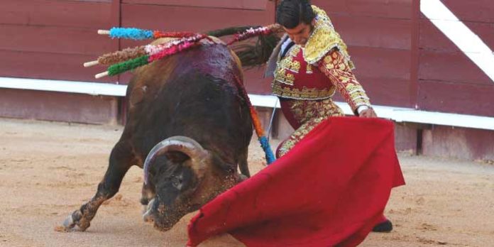 Muletazo por bajo de Morante hoy en Istres. (FOTO: Valentín/Terres Taurines)