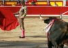 Manuel Escribano esta tarde en Pamplona. (FOTO: mundotoro.com)