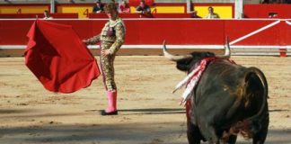 Manuel Escribano esta tarde en Pamplona. (FOTO: mundotoro.com)