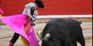 Morante remata con el capote esta tarde en Pamplona. (FOTO: mundotoro.com)