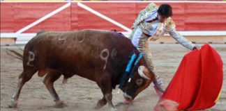 Un natural de Nazaré esta tarde en Pamplona. (FOTO: mundotoro.com)