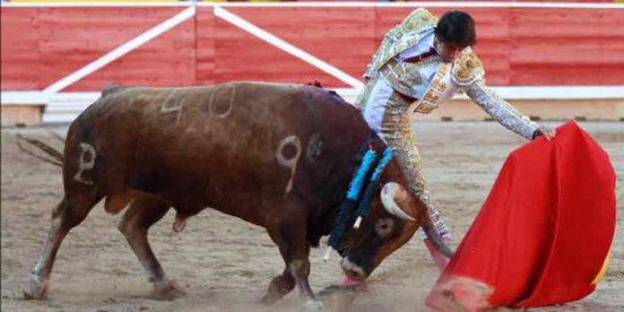 Un natural de Nazaré esta tarde en Pamplona. (FOTO: mundotoro.com)