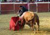 Tomás Campuzano pasea las dos orejas y el rabo el pasado sábado en Aznalcóllar, el que será finalmente su último astado lidiado en una plaza de toros. (FOTO: Javier Martínez)