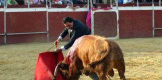 Tomás Campuzano pasea las dos orejas y el rabo el pasado sábado en Aznalcóllar, el que será finalmente su último astado lidiado en una plaza de toros. (FOTO: Javier Martínez)
