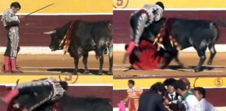 Secuencia de la cornada de Morante esta tarde en Huesca. (Imágenes: mundotoro.com)