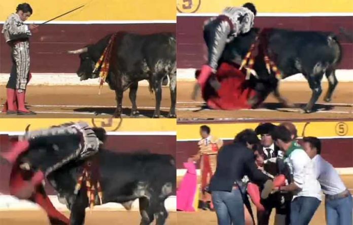 Secuencia de la cornada de Morante esta tarde en Huesca. (Imágenes: mundotoro.com)