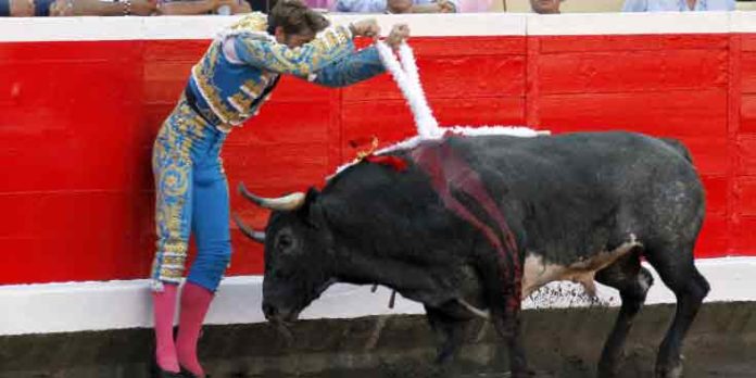 Ajustadísimo par de banderillas de Manuel Escribano por los adentros hoy en Bilbao. (FOTO: Manu de Alba/mundotoro.com)