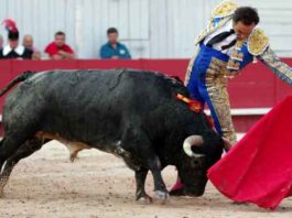 El Cid, esta tarde en Arles. (FOTO: Heyere Valentín/Terres Taurines)