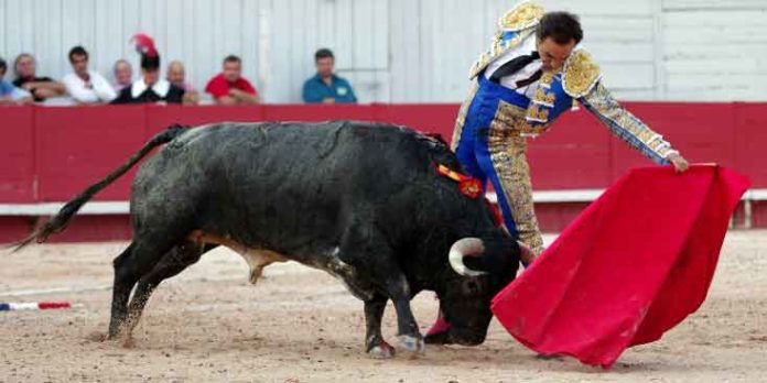 El Cid, esta tarde en Arles. (FOTO: Heyere Valentín/Terres Taurines)