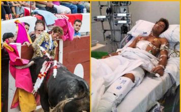 Instante de la cogida de Manuel Escribano el pasado sábado y en la UCI tras ser operado durante casi tres horas. (FOTO: Rafael Carlevaris y Sevilla Taurina)