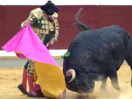 Monumento a la verónica de Morante en Logroño. (Foto: mundororo.com)
