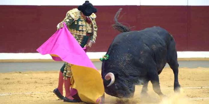 Escelente toreo de capote esta tarde en Logroño. (FOTO: Poyatos/mundotoro.com)