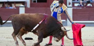Gran toreo de El Cid esta tarde en Las Ventas. (FOTO: las-ventas.com)