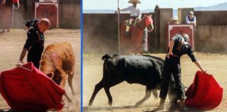 Tentadero de Cuqui de Utrera en la ganadería de Torreón de Cañas (México).