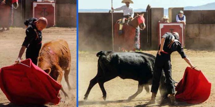 Tentadero de Cuqui de Utrera en la ganadería de Torreón de Cañas (México).