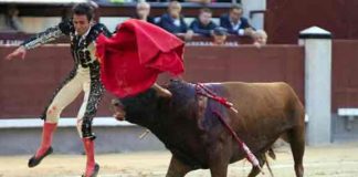 Momento de Juan Ortega esta tarde en Madrid. (FOTO: las-ventas.com)
