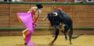 Lama de Góngora abriéndose de capote esta tarde en Arnedo. (FOTO: Poyatos/mundotoro.com)