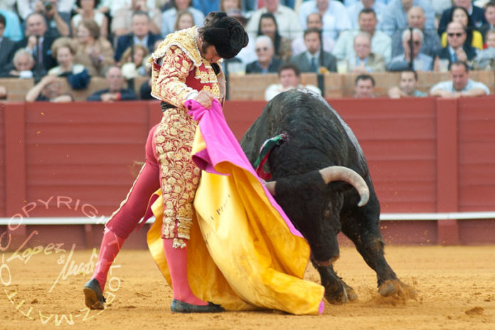 La espectacular media de Morante a un toro de Cuvillo el año pasado en la Feria de Abril; la próxima Feria no se podrá ver ni a Morante ni los toros de Cuvillo. (FOTO: lopezmatito.com)