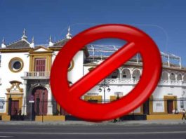 Canorea lleva cuatro años vetando a SEVILLA TAURINA por ejercer una información libre e independiente; ahora recoge las tempestades sembradas.