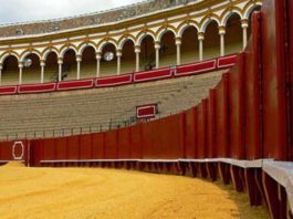 El incierto futuro de la plaza de la Maestranza.