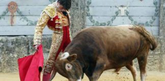 Un muletazo gustándose del sevillano Rafa Serna en la novillada de promoción de Ronda del año pasado.
