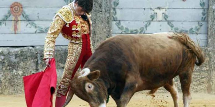 Un muletazo gustándose del sevillano Rafa Serna en la novillada de promoción de Ronda del año pasado.