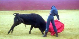 El novillero sevillano Rafa Serna.