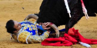 El Cid, a merced del cuarto toro en Valencia. (FOTO: Alberto de Jesús/mundotoro.com)