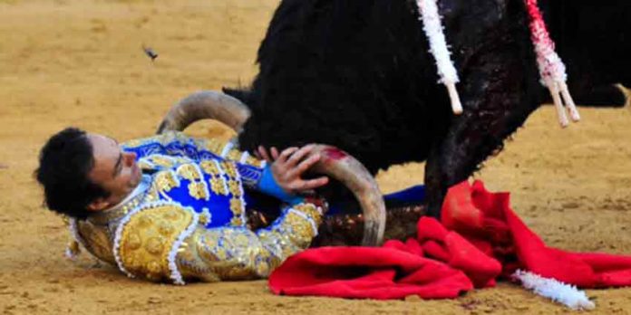 El Cid, a merced del cuarto toro en Valencia. (FOTO: Alberto de Jesús/mundotoro.com)