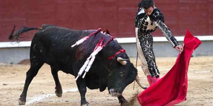 Muletazo de Juan Ortega esta tarde en Madrid. (FOTO: las-ventas.com)