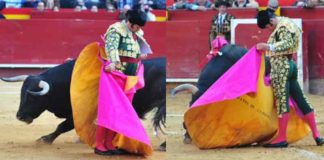 Dos momentos de la excelente actuación de Morante con capote hoy en Valencia. (FOTO: Alberto de Jesús/mundotoro.com)