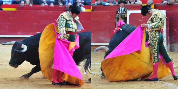 Dos momentos de la excelente actuación de Morante con capote hoy en Valencia. (FOTO: Alberto de Jesús/mundotoro.com)