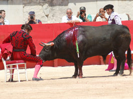 La singularidad del toreo de Morante.