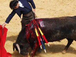 Diego Ventura toreando parte de su segunda faena a pie esta mañana en Paterna del Campo. (FOTO: Teresa Carreto / Huelva Taurina)