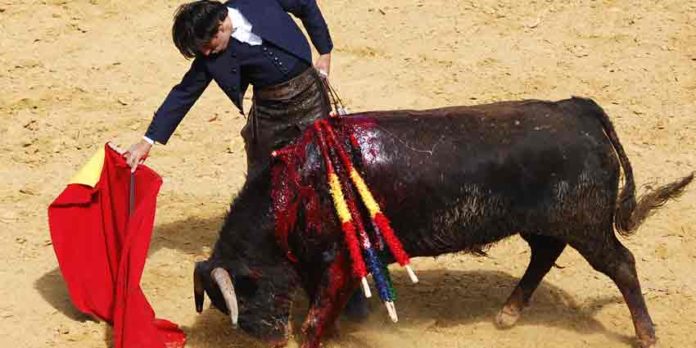 Diego Ventura toreando parte de su segunda faena a pie esta mañana en Paterna del Campo. (FOTO: Teresa Carreto / Huelva Taurina)