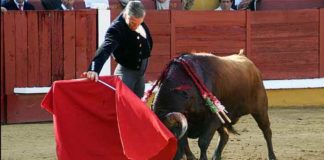 Excelente toreo de Espartaco hoy en Badajoz. (FOTO: Alfonso Plano / badajoztaurina.com)