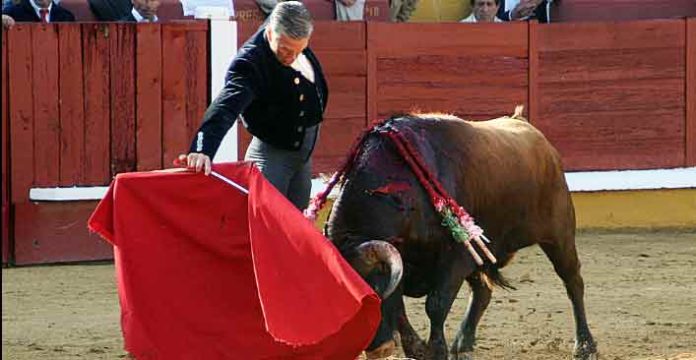 Excelente toreo de Espartaco hoy en Badajoz. (FOTO: Alfonso Plano / badajoztaurina.com)