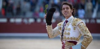 Antonio Nazaré, en la vuelta al ruedo hoy en Madrid. (FOTO:las-ventas.com)