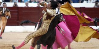 Sebastian Castella, colgado de los pitones del toro de Buenavista esta tarde en Osuna.
