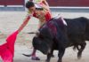 Un derechazo de El Cid esta tarde en Madrid. (FOTO: las-ventas.com)