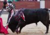 Un derechazo de Mario Diéguez esta tarde en Madrid. (FOTO: las-ventas.com)